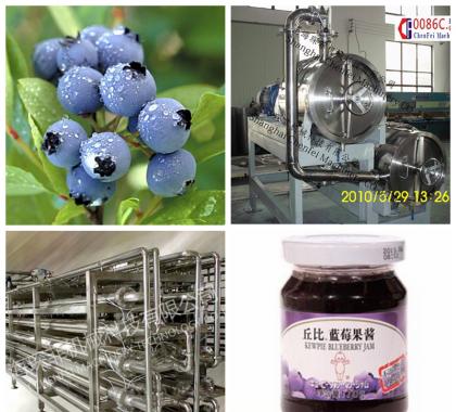 <b>Blueberry Jam Production Line Machine</b>