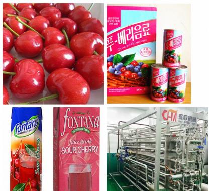 <b>Cherry Juice Production Line</b>