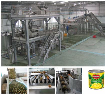 <b>Canned Pineapple Production Line </b>