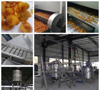 <b>Candied Fruit Production Line</b>