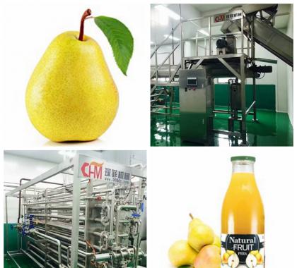 <b>Pear Juice Production Line</b>