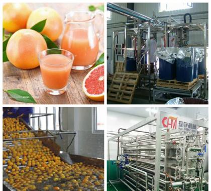<b>Grapefruit Juice Production Line</b>