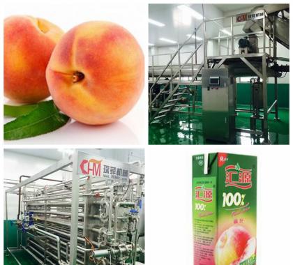 <b>Peach Juice Production Line</b>